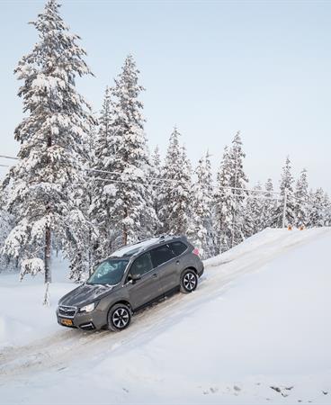 SUBARU_FORESTER-38-hr